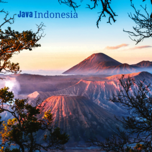 Ground Coffee Adventures: Exploring the Unique Stories of Aromatic Brews From Around the Globe 3 Java Indonesia