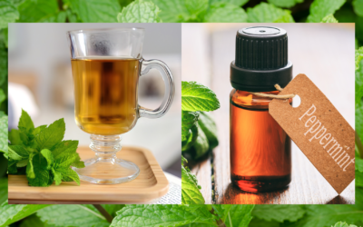 5 Amazing Perks of Sipping Peppermint Tea All Day Long