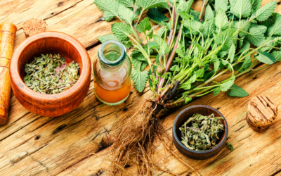 Navigating a World of Personalities: How Lemon Balm Keeps This Mobile Notary Calm