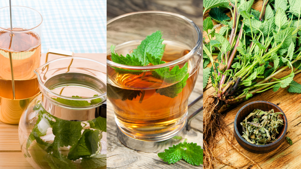 Lemon Balm Tea] Iced Tea] Herb