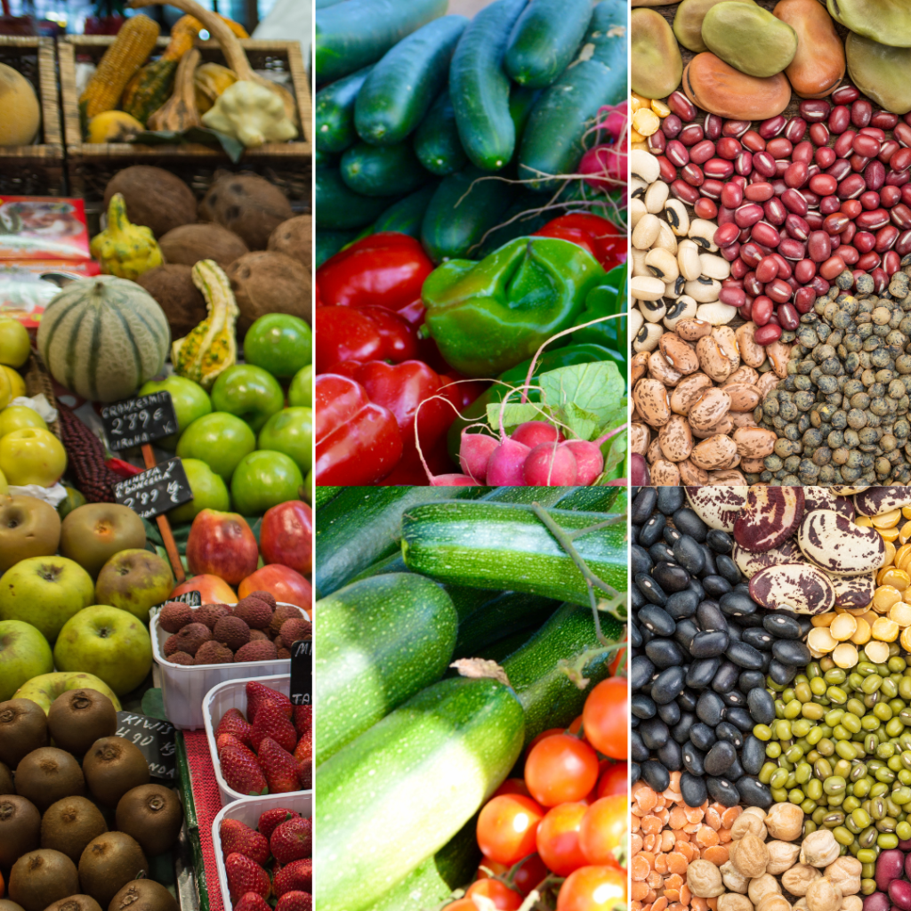 Blog Pictures Affiliate13