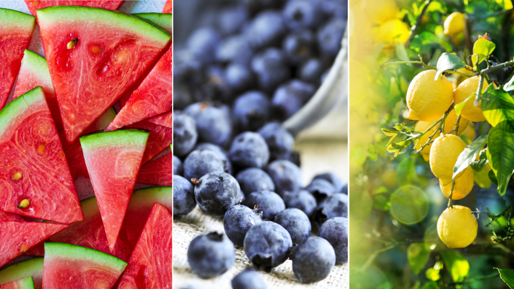 Watermelon-Blueberries Lemonade