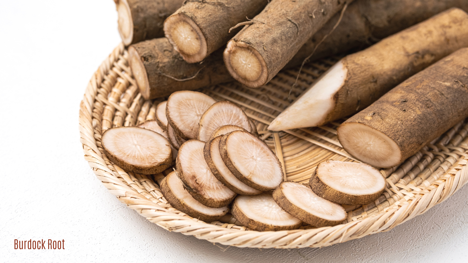 Burdock Root Burdock Root