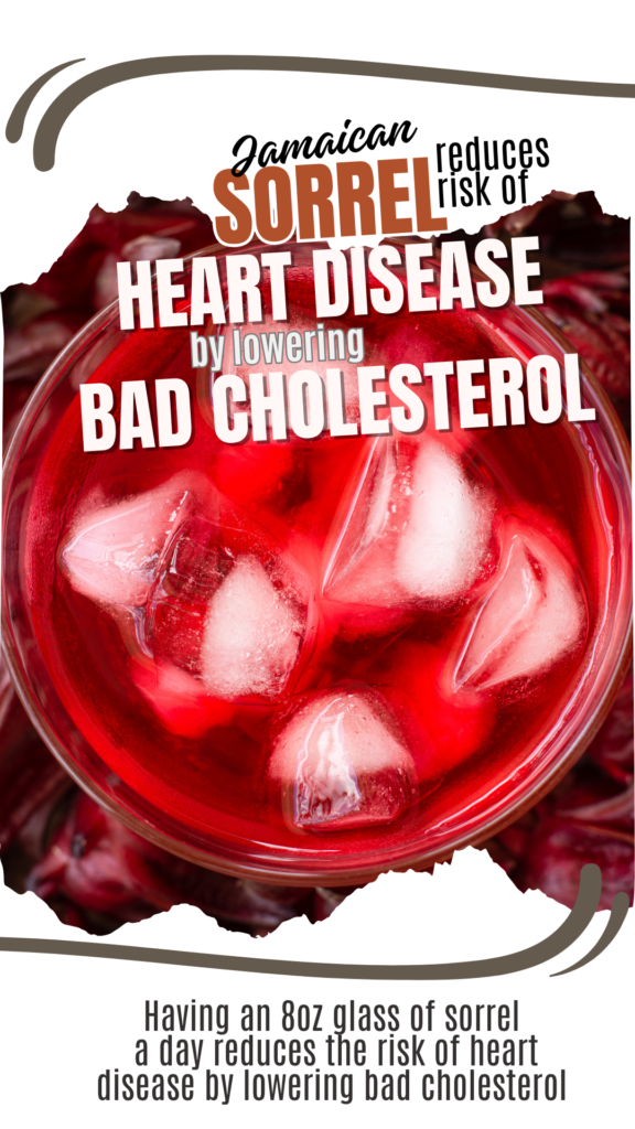 Sorrel: The Heart-Healthy, Antioxidant Dynamo for Radiant Wellness 4 Sorrel