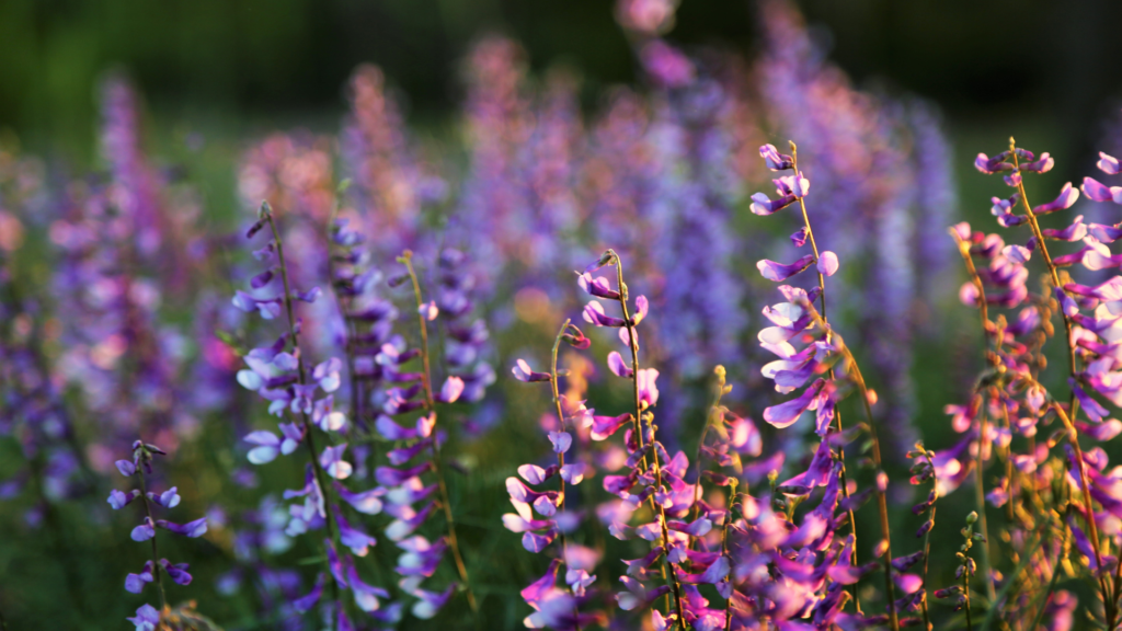 The Unexpected Journey: When Death Comes Knocking 5 Death