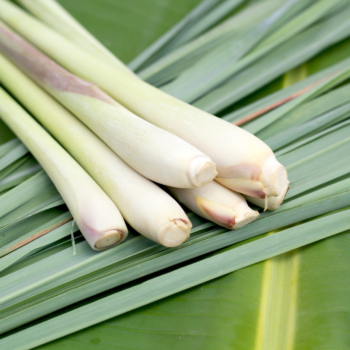Lemongrass