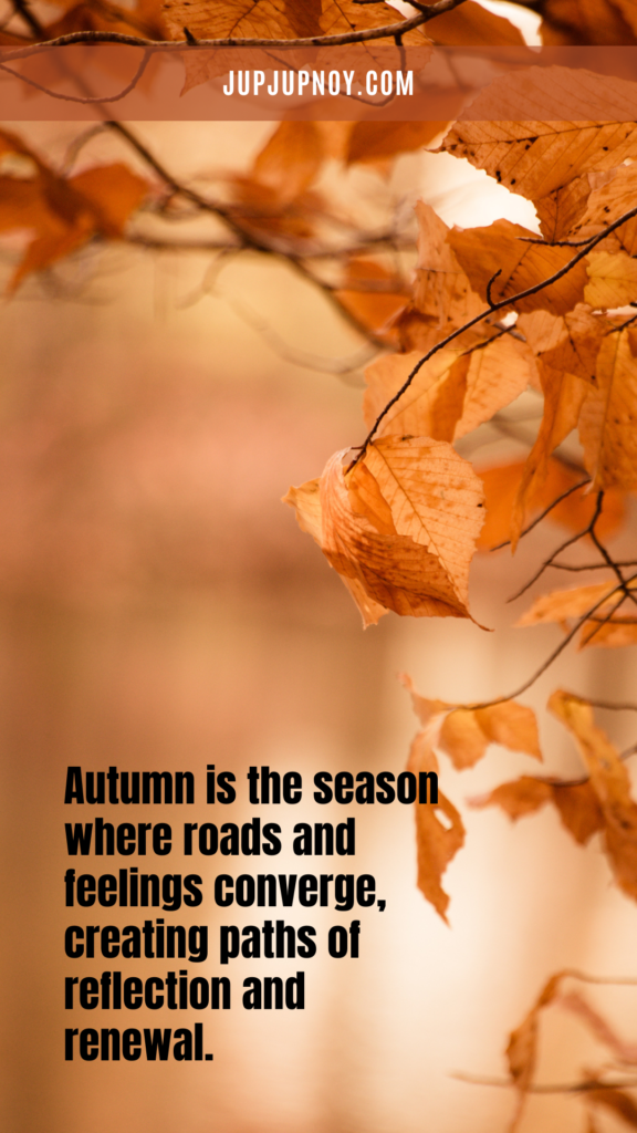 Embracing Autumn's Magic: A Floridian's Guide to Fall Foliage and Festive Flavors 7 Autumn