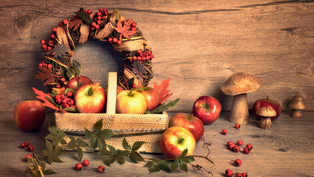 Affordable Wreaths For The Holiday Season 6 wreath