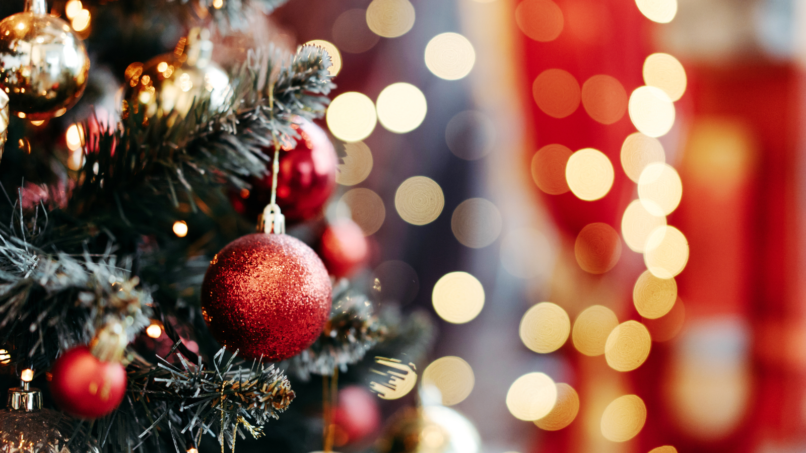 Christmas Trees