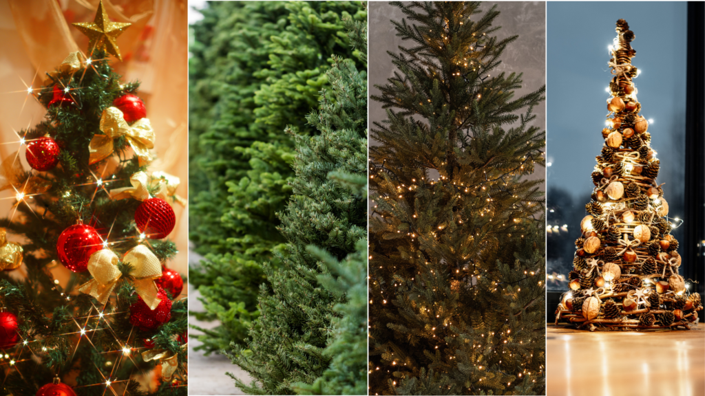 Christmas Trees