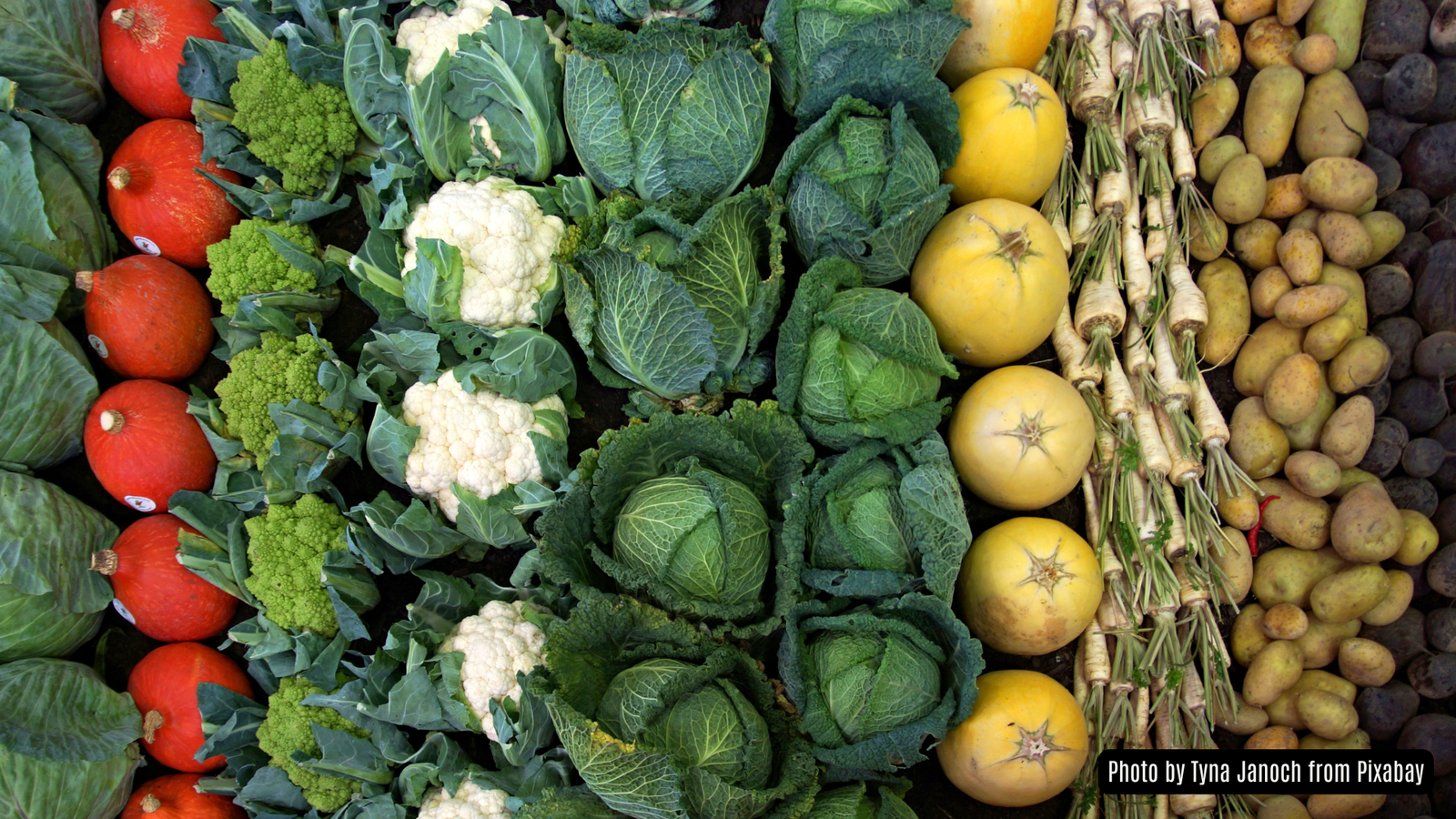 Veggies and herbs to plant in January