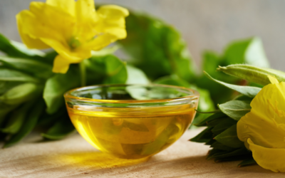 Evening Primrose Oil: A Natural Approach to Menopause and Hormonal Balance