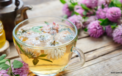 Nature’s Miracle: Red Clover’s Powerful Benefits for Menopause Relief and Beyond