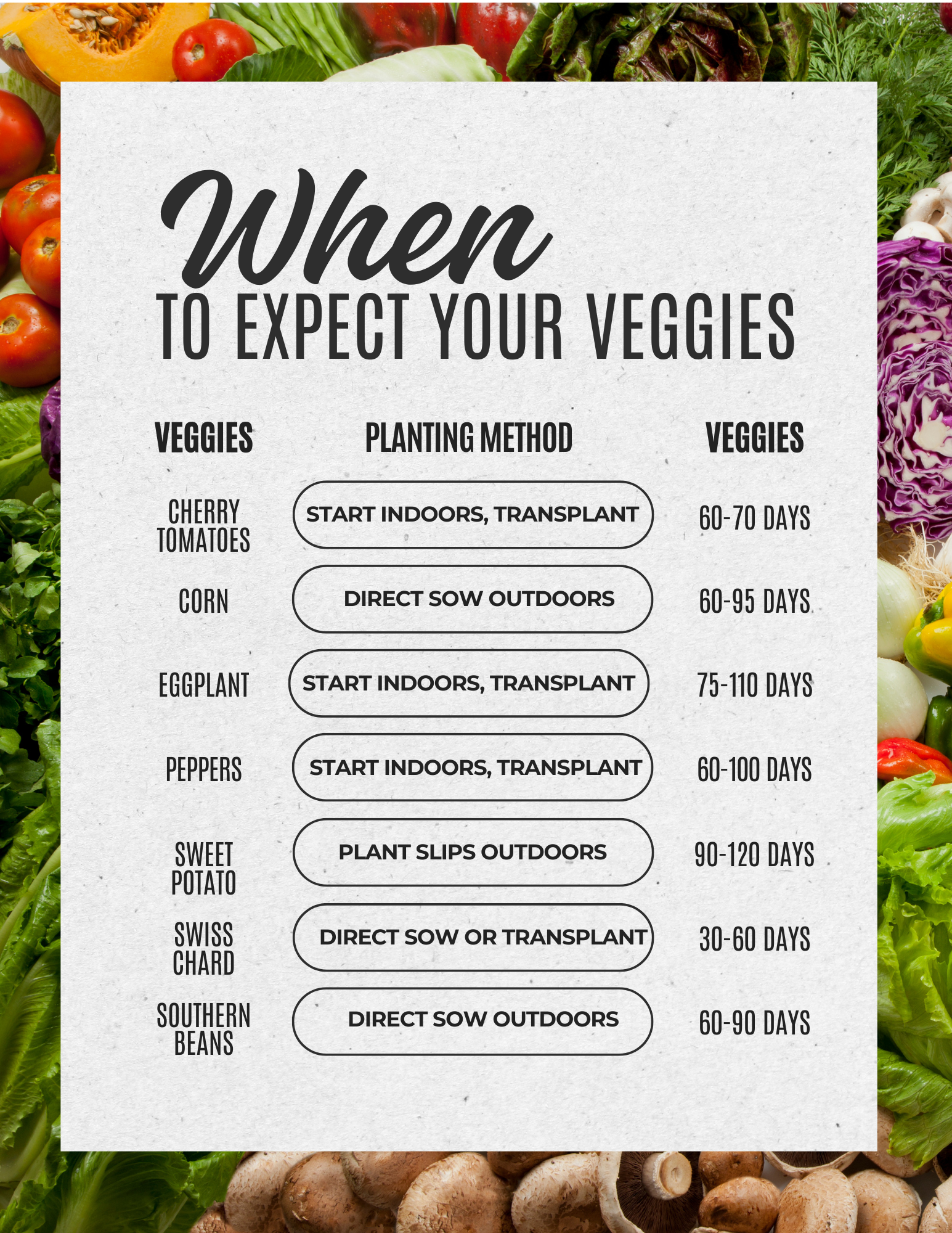 7 Must-Grow Veggies for Central Florida