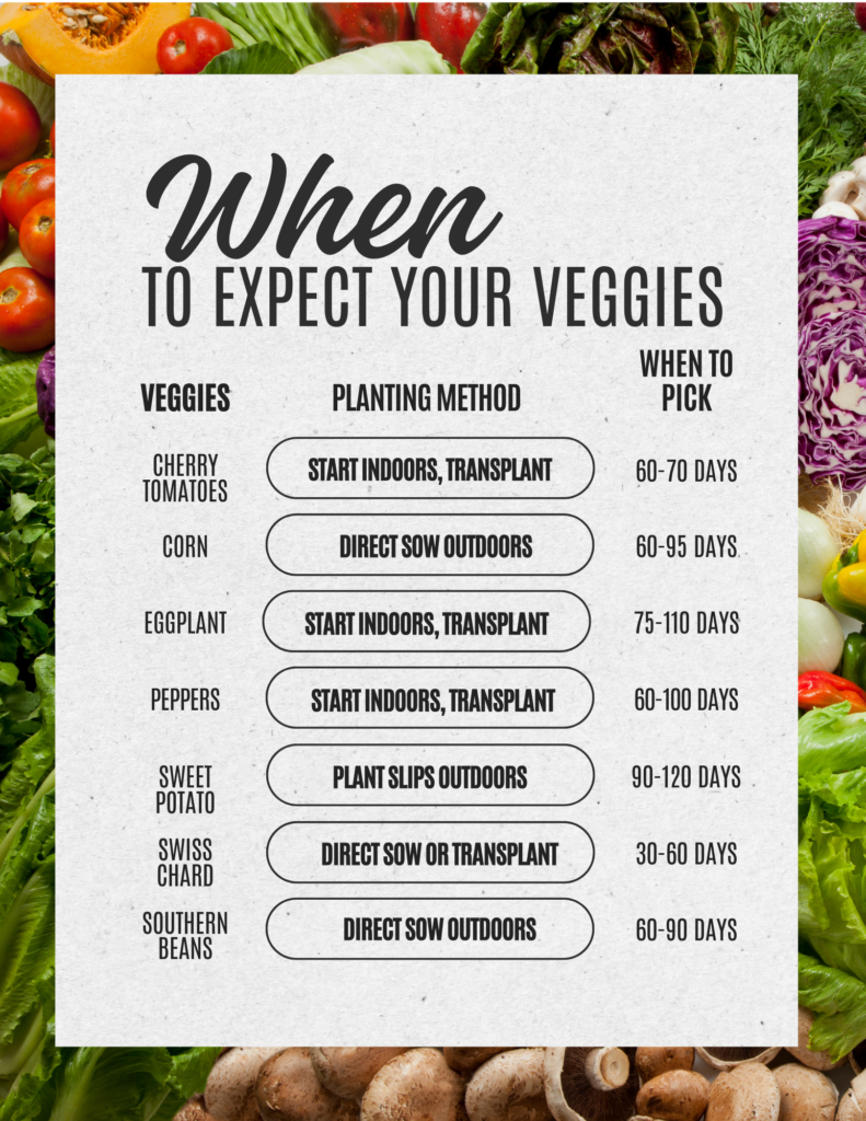 7 Must-Grow Veggies for Central Florida: Your Ultimate June & July Planting Guide to Thriving Gardens 9 Must Grow Veggies in Central Florida