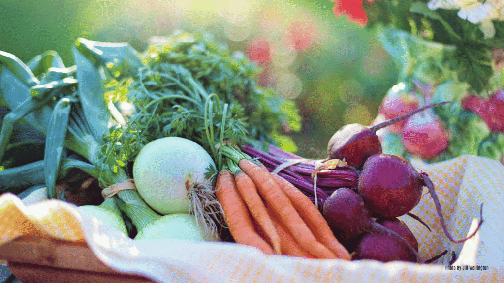 What to Plant in Central Florida for Autumn