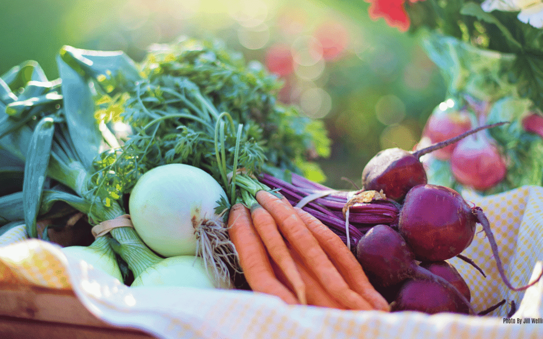 What to Plant in Central Florida for Autumn: A Complete Guide