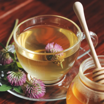 Red Clover Tea